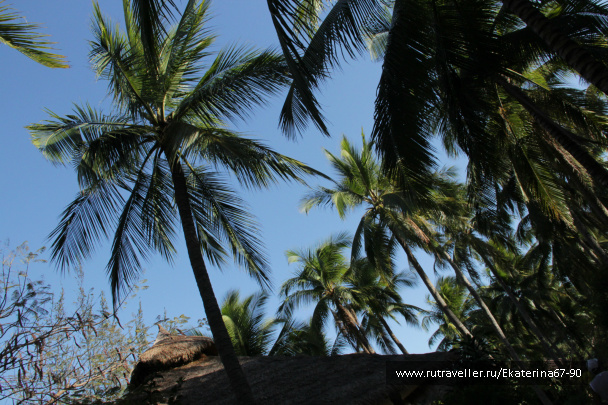 photo 293441