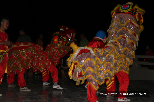 photo 293442