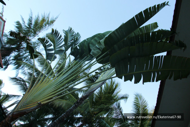 photo 293453