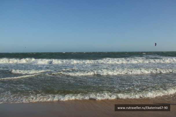 photo 293456