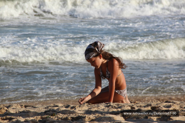 photo 293462