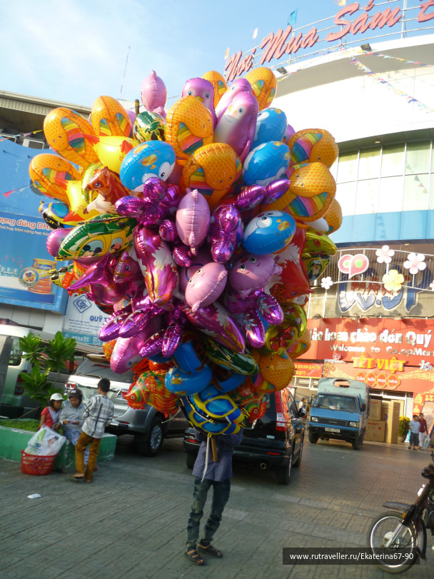 photo 293590