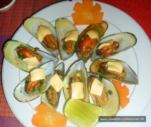 photo 293599