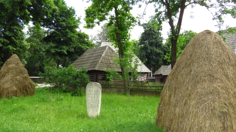 photo 773296