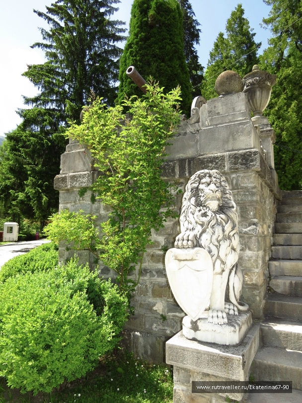 photo 774019