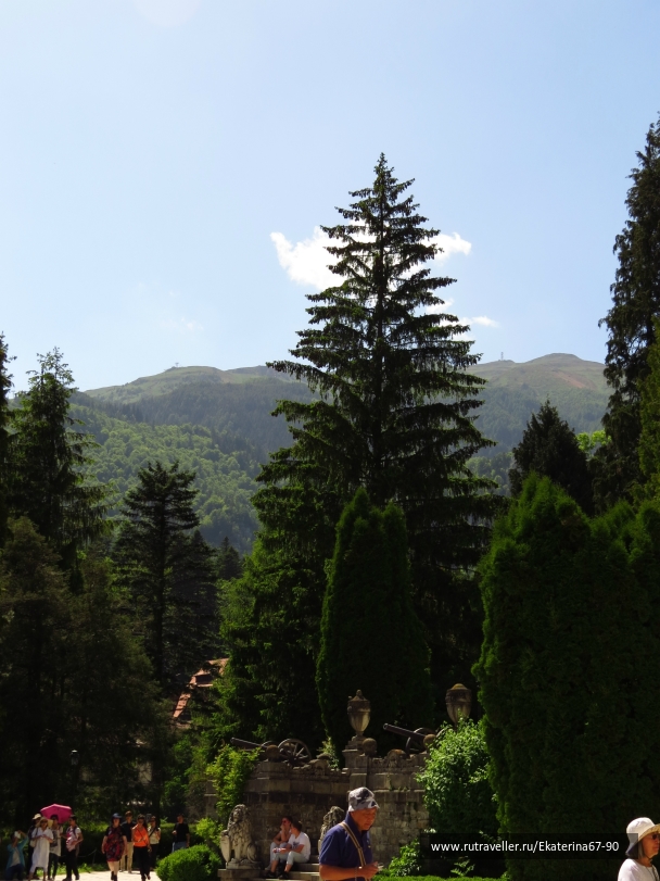 photo 774050