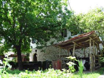 photo 774353