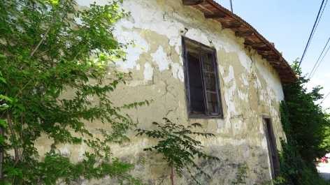 photo 774373