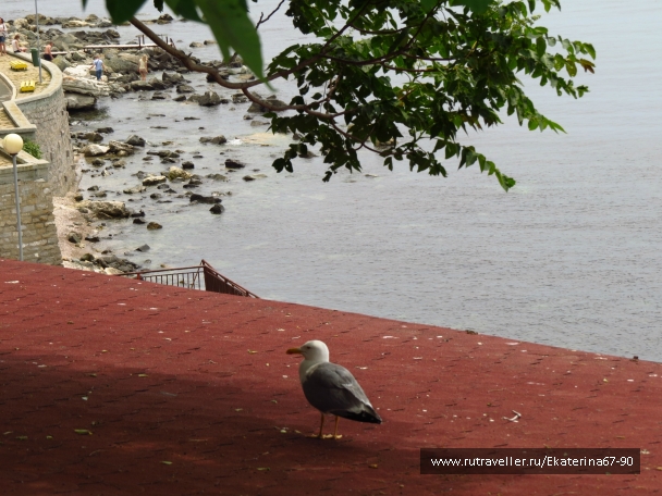 photo 900904