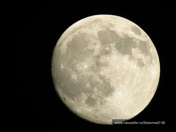 photo 900928