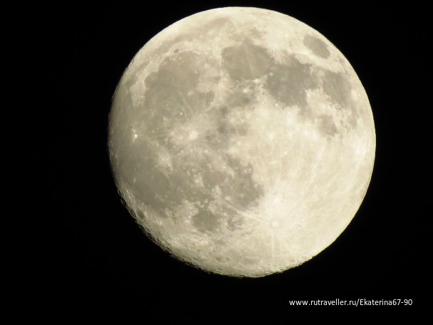 photo 900929