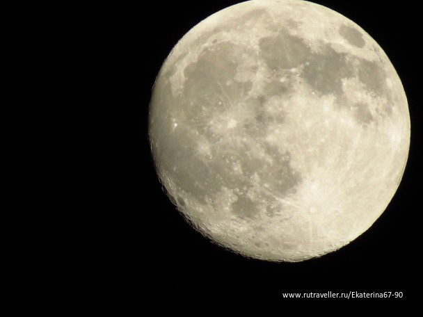 photo 900930