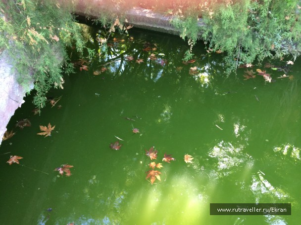 photo 848481