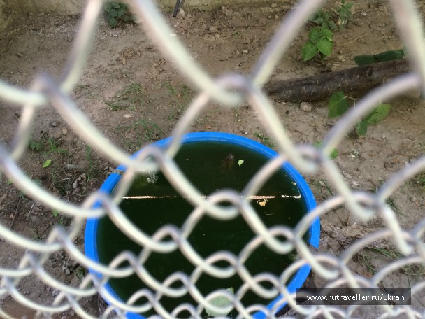 photo 848489