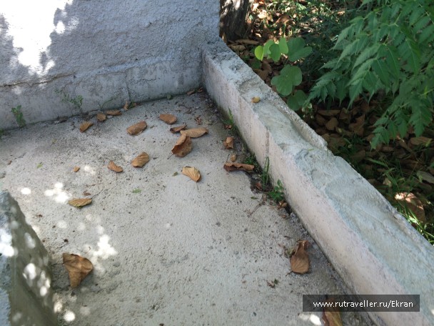 photo 848490