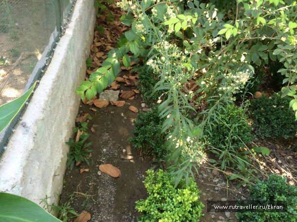 photo 848494