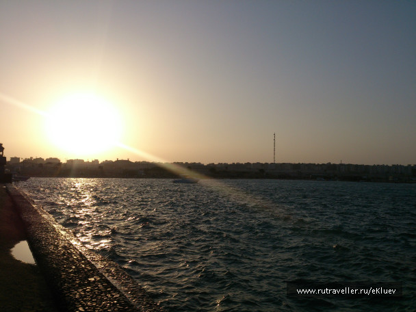 photo 980529
