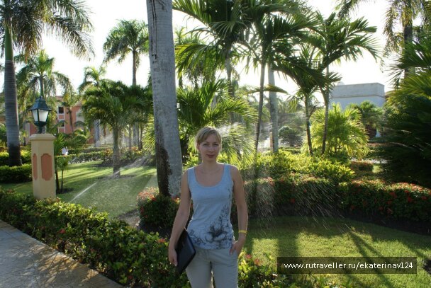 photo 175239