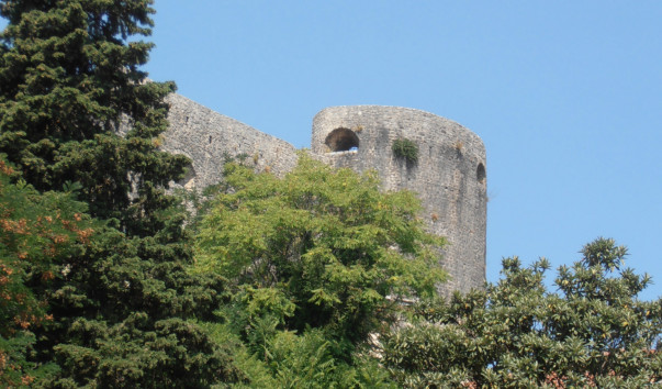 P8280074