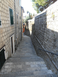 photo 337323
