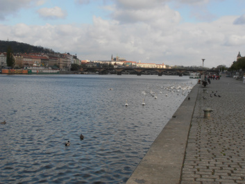 photo 339363