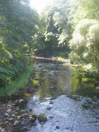 photo 356673
