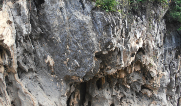 PA110277