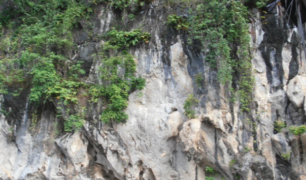 PA110275