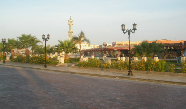 P2090162