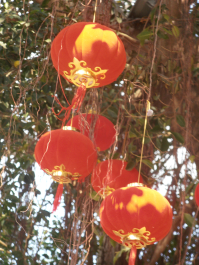 photo 665411