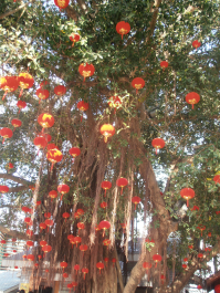 photo 665413
