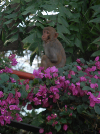 photo 665428
