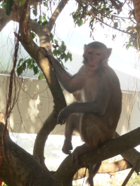 photo 665434