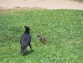 photo 794834