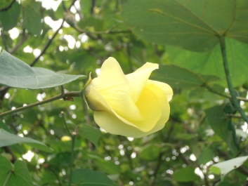 photo 794853