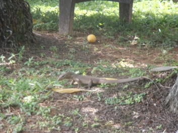 photo 794890