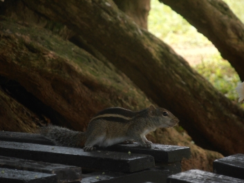 photo 794892