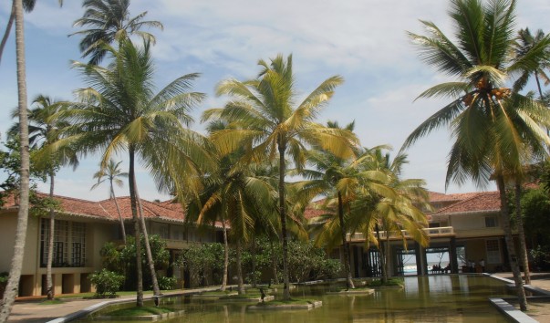 P6120025