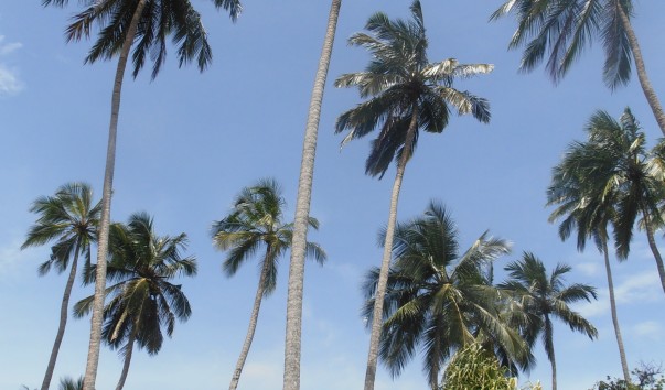 P6120024