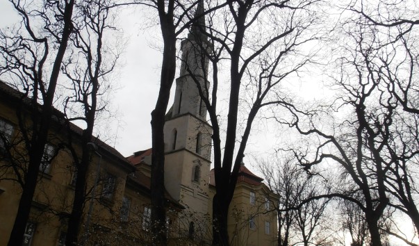 P1020028