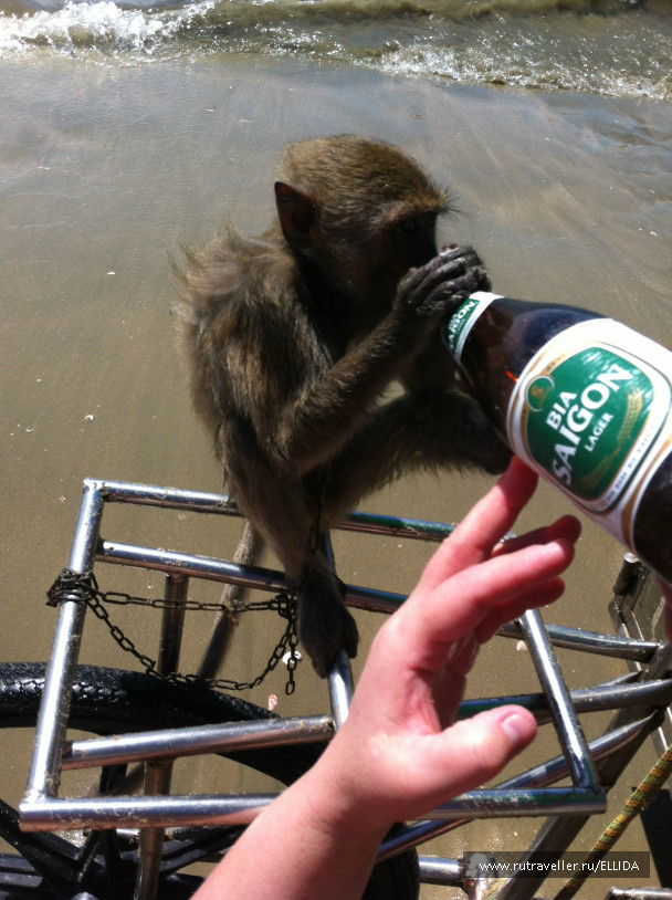 photo 985621