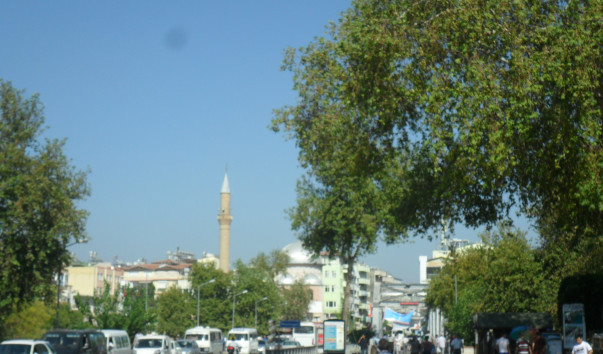 SAM_0887