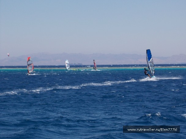 photo 872783