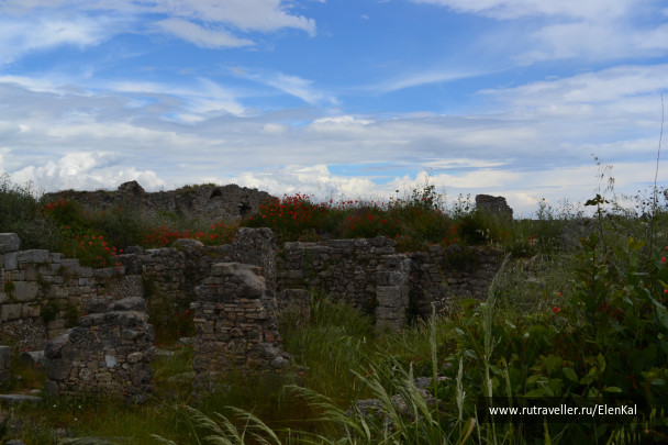 photo 391945