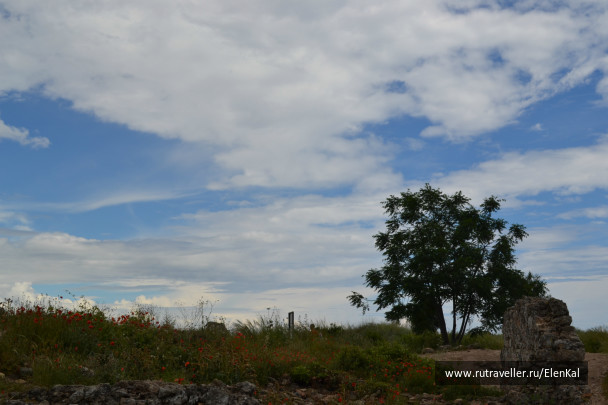 photo 391948