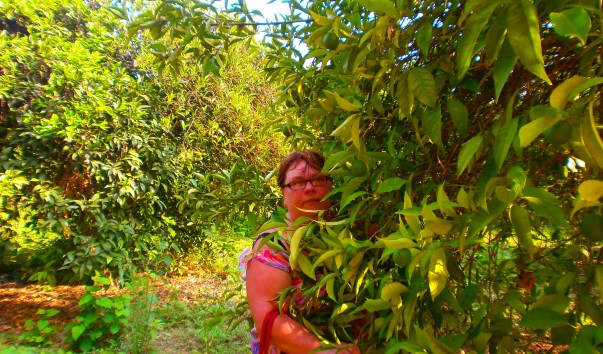 P7310525