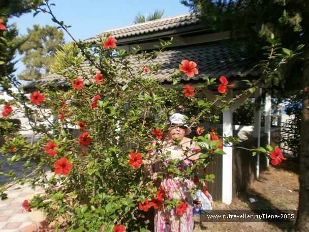 photo 883092