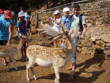 photo 823672