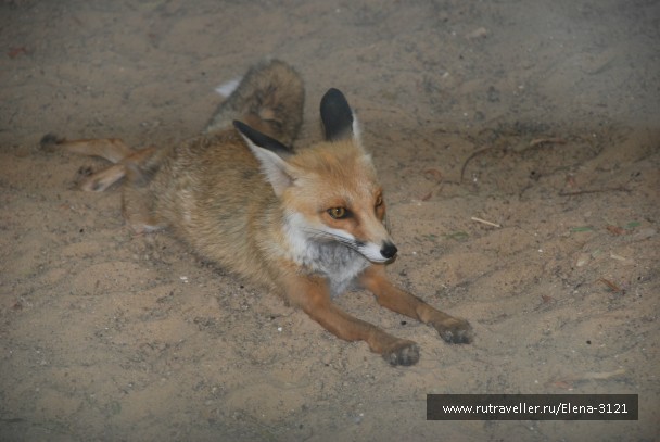 photo 811791