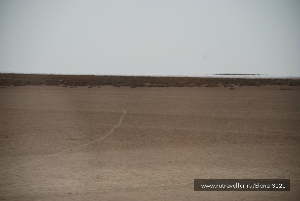 photo 811792